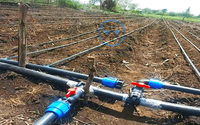 Irrigation & Agriculture